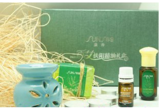 爱雪伦诗 香艾扶阳精油礼盒9件套