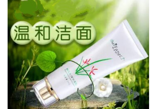 白芳丽 细腻水润洁面乳100g