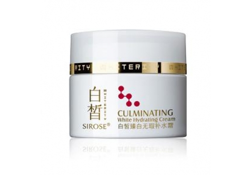 白皙 健康美白臻白无瑕补水霜50g