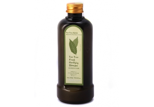 宝琪兰 茶树清透净化洗发露250ml