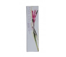 芭葩 防晒喷雾（淡型）60ml