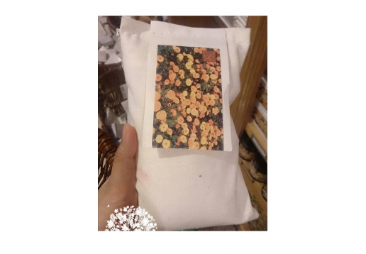 菠丹妮 金盏花精油舒敏浴盐500g