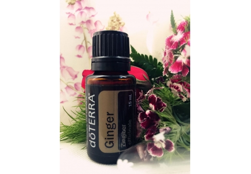 多特瑞 生姜精油15ML
