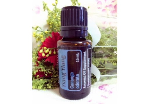 多特瑞 依兰精油15ml