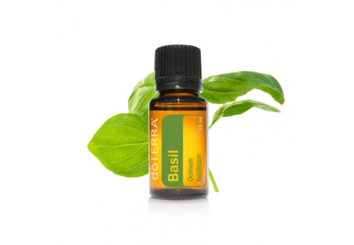 多特瑞 罗勒精油15ml