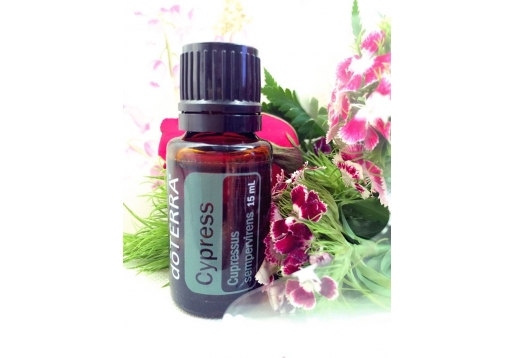 多特瑞 丝柏精油15ml