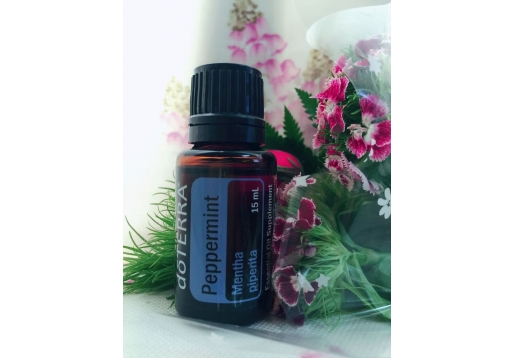 多特瑞 薄荷精油15ml