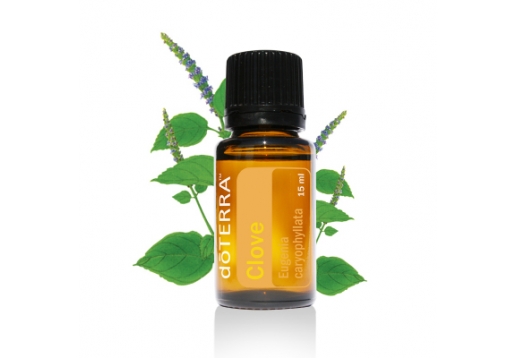 多特瑞 广藿香精油15ml