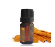 多特瑞 肉桂单方精油5ml