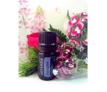 多特瑞 乐活复方精油5ml