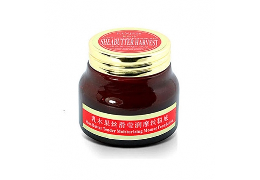 梵洁诗 乳木果丝滑莹润摩丝粉底30g
