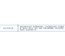 菲诗贝比 水立方弹力乳100ml