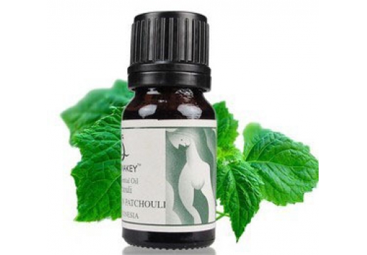 芳香天使 单方精油广藿香10ml