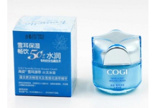 高姿 雪耳源萃冰淇淋霜50G