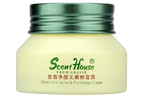 汇香坊 雏菊净痘无痕修复霜30g