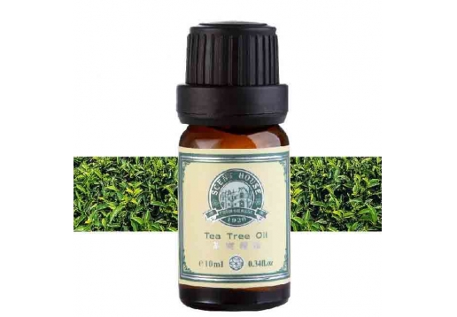 汇香坊 茶树精油10ml 