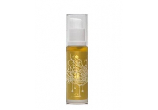 肯园 解读净化系列02号【锁】  30ml