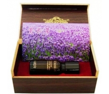 蓝妮尔 薰衣草单方精油10ml