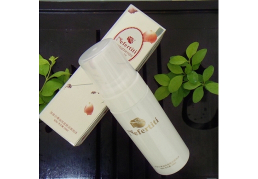 涅菲尔蒂 油性皮肤洁面泡沫150ml