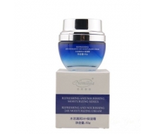 诺美丽莎 水活清润24H保湿霜60g 新品