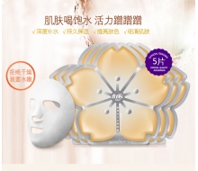 普玛仕 酵素活力水漾面膜5片