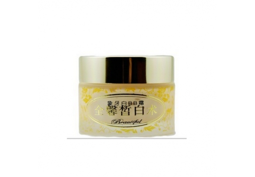 芬妮国际 全馨皙白术象牙白BB霜50g