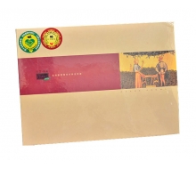 诗艾 四季五行能量经络养生套装十...