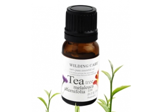 维尔汀 茶树精油10ML