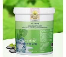 雅肤黎 薄荷激爽亮肤焕颜冰膜300g