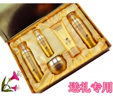雅格伊思 红参蜗牛原液五套装