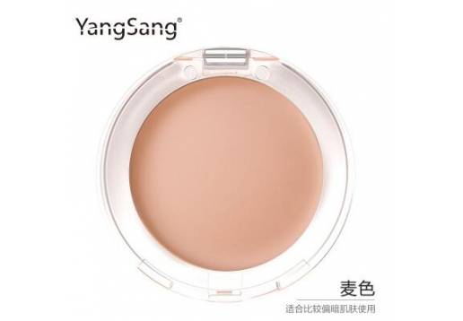 PBA杨桑 无痕遮瑕膏9g（2色可选）