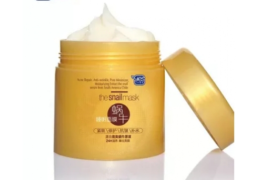 雅韵诗 蜗牛睡眠面膜120g