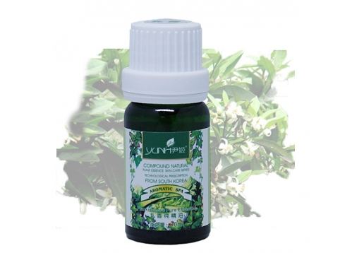 尹姬 乳香纯精油10ml