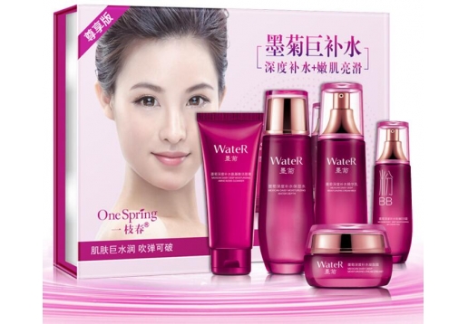 一枝春 墨菊巨补水五件套礼盒套装